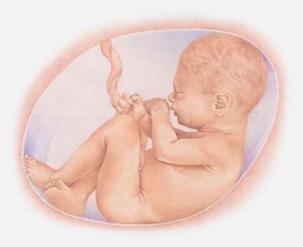 试管婴儿, 性别选择, 生殖中心, IVF-ET, 遗传学, 生男孩