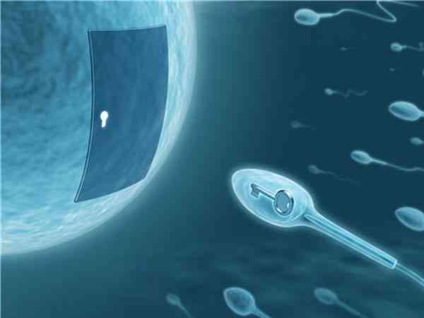 人工筛选精子, 性别选择, XY精子分离, 生育技术, 生男孩费用